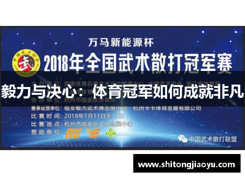 毅力与决心：体育冠军如何成就非凡