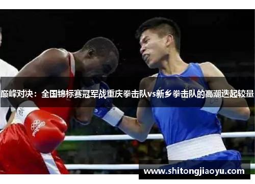 巅峰对决：全国锦标赛冠军战重庆拳击队vs新乡拳击队的高潮迭起较量