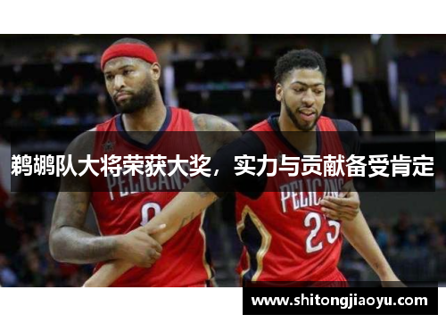 鹈鹕队大将荣获大奖，实力与贡献备受肯定